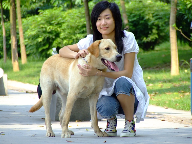 风中的绿叶的第一张照片--鞍山相亲服务中心
