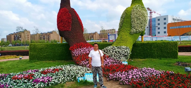 尘埃的第一张照片--鞍山相亲服务中心