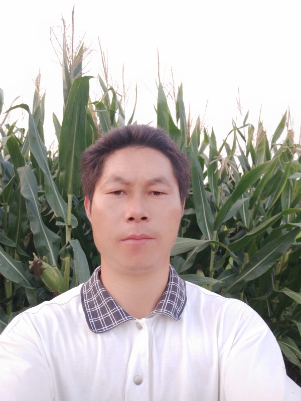 四海游龙的第一张照片--鞍山相亲服务中心