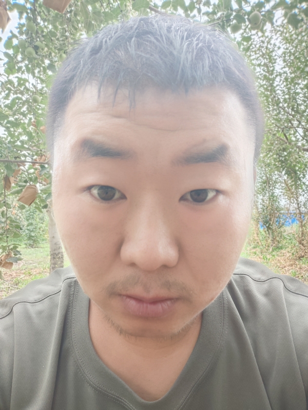 明天的第一张照片--鞍山相亲服务中心