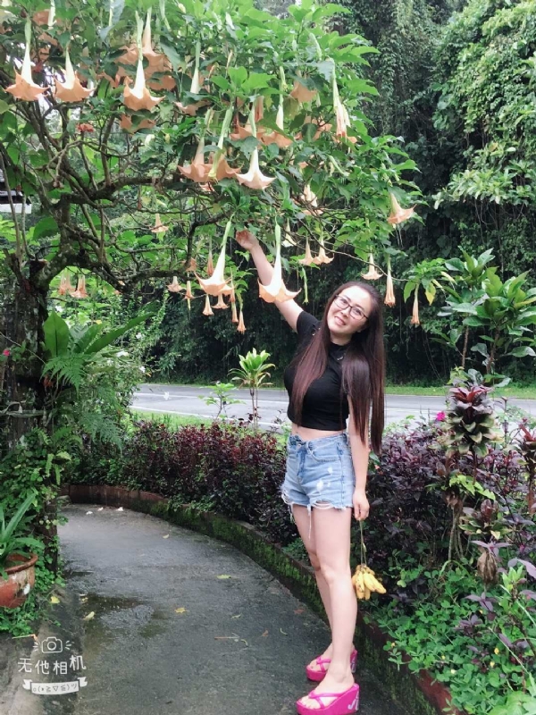 离异单身无子的第二张照片--鞍山相亲服务中心