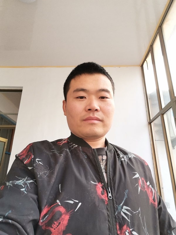 会飞的猪的第一张照片--鞍山相亲服务中心