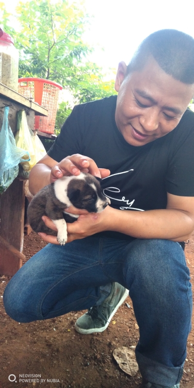 深圳相亲的第一张照片--鞍山相亲服务中心