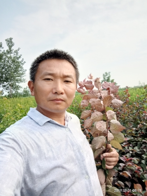 孩子爸的第一张照片--鞍山相亲服务中心