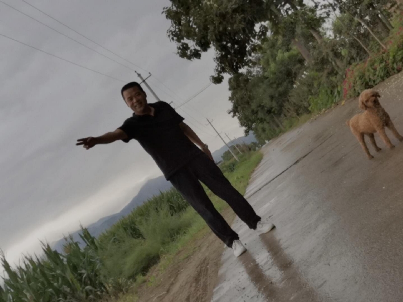 每天的温暖的第一张照片--鞍山相亲服务中心