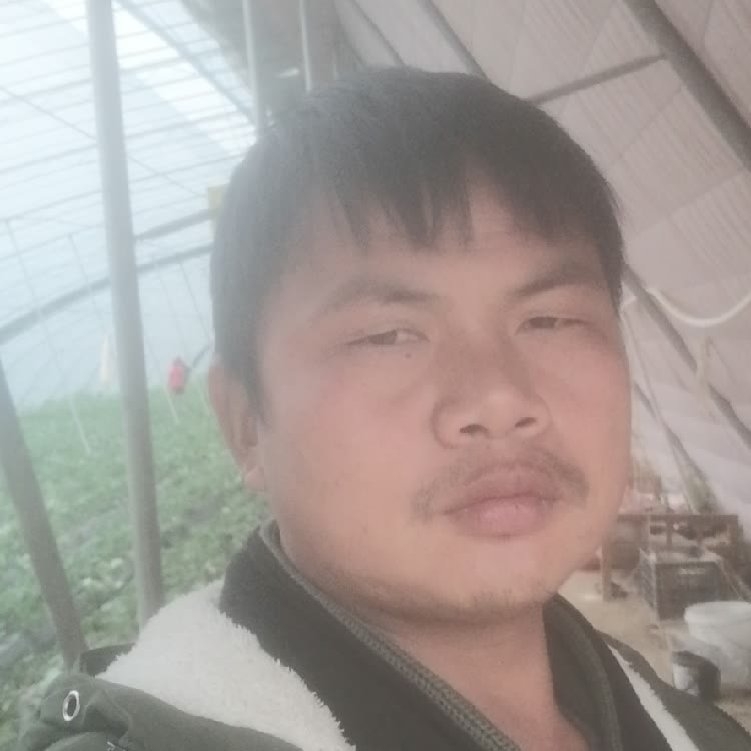 孤狼‘的第一张照片--鞍山相亲服务中心