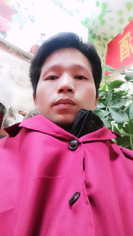 单身的林凡的第一张照片--鞍山相亲服务中心