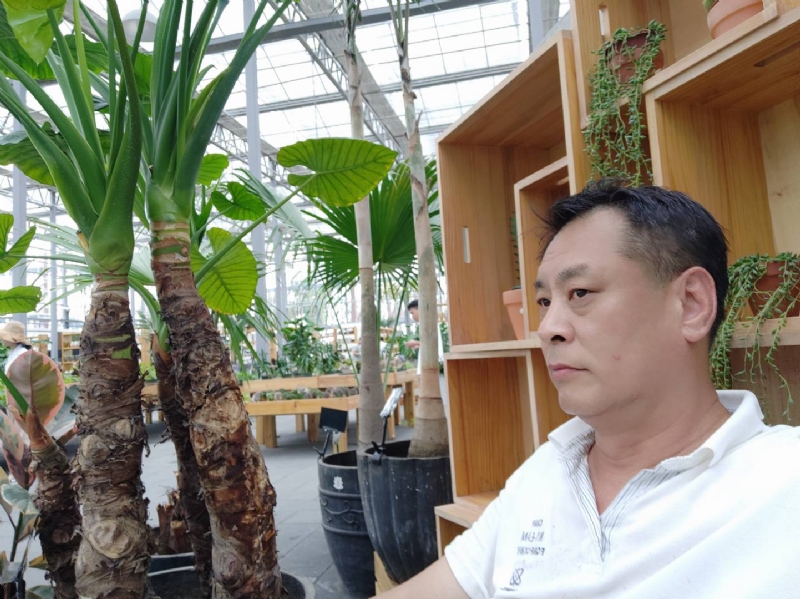 davidxy669988的第一张照片--鞍山相亲服务中心