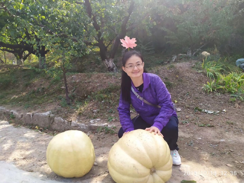 海绵宝宝的第一张照片--鞍山相亲服务中心