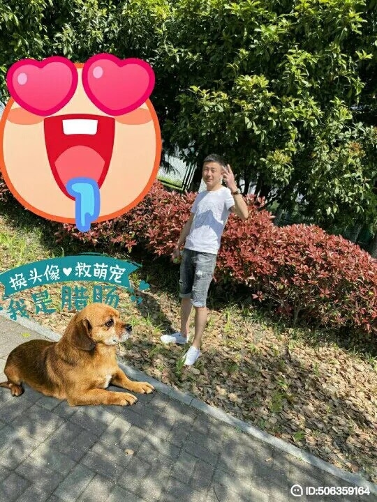 我若不坚强谁替我勇敢的第五张照片--鞍山相亲服务中心