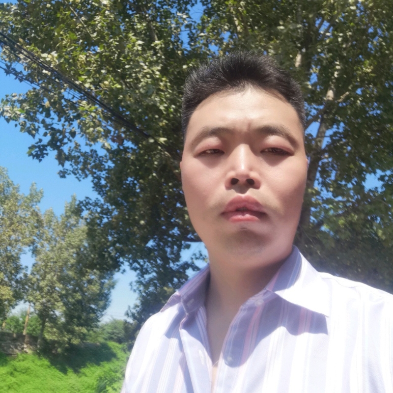 机灵的鹏鹏的第三张照片--鞍山相亲服务中心