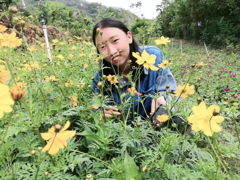 哈哈的第一张照片--鞍山相亲服务中心