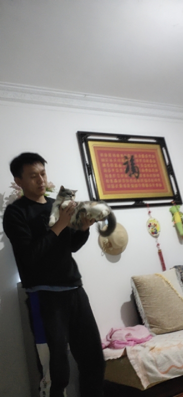 水思云的第一张照片--鞍山相亲服务中心