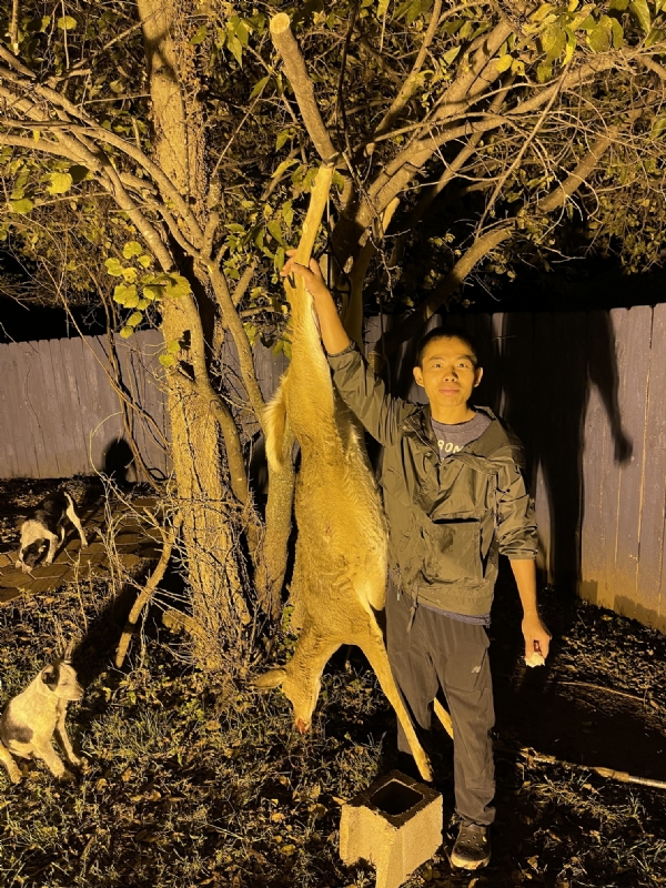 Kandy的第三张照片--鞍山相亲服务中心