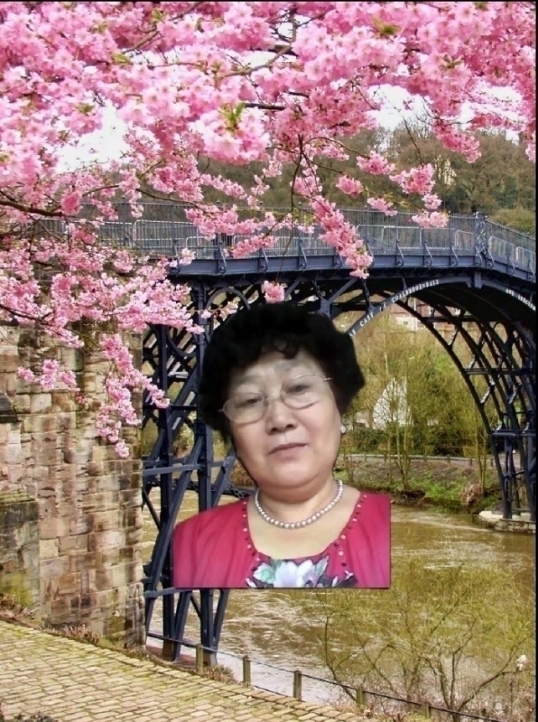 s铭的第三张照片--鞍山相亲服务中心