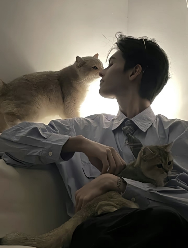 怪猫的第一张照片--鞍山相亲服务中心