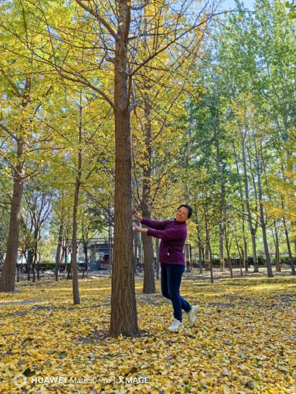 Shirley的第三张照片--鞍山相亲服务中心