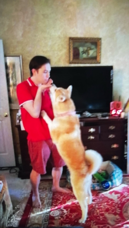 Leluch的第一张照片--鞍山相亲服务中心