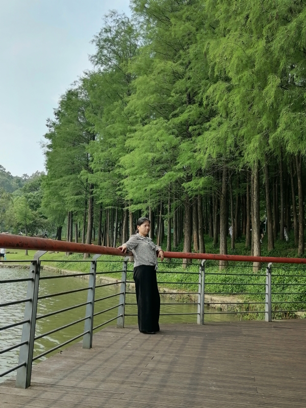 遗失的记忆的第二张照片--鞍山相亲服务中心