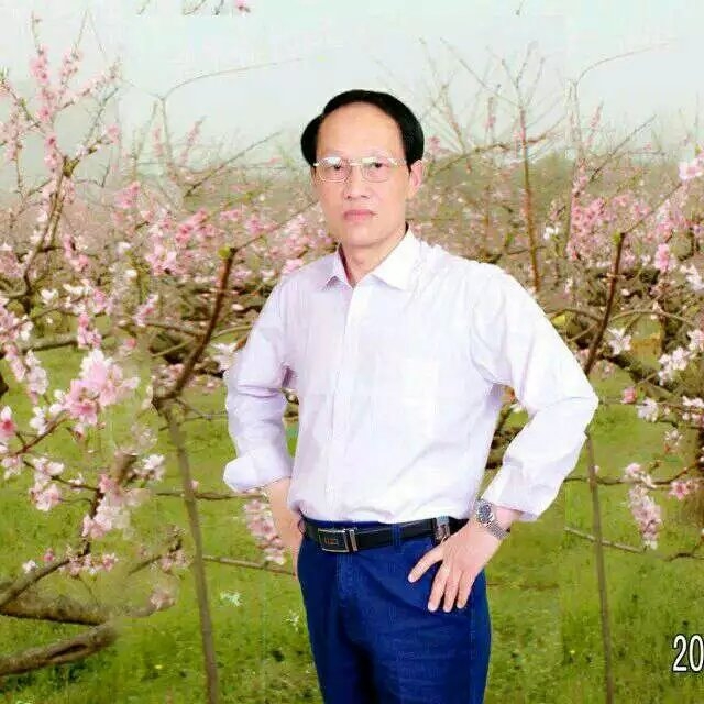 枫叶的第一张照片--鞍山相亲服务中心