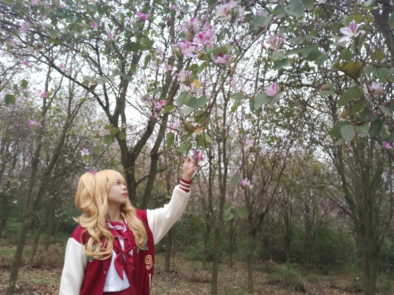 暮秋的第二张照片--鞍山相亲服务中心