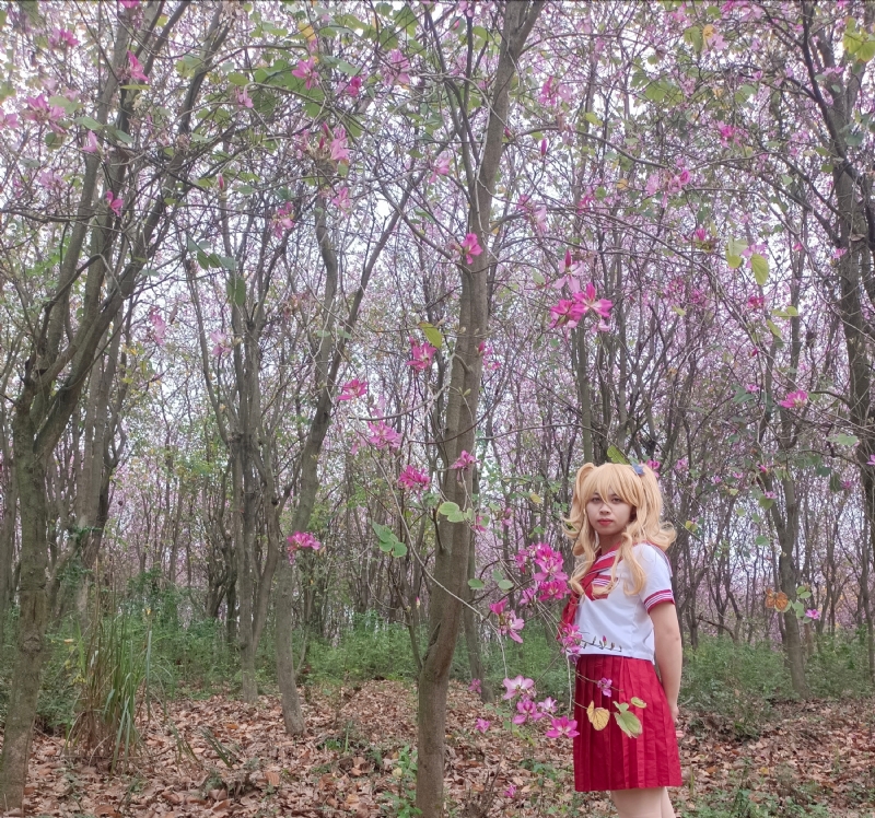 暮秋的第三张照片--鞍山相亲服务中心