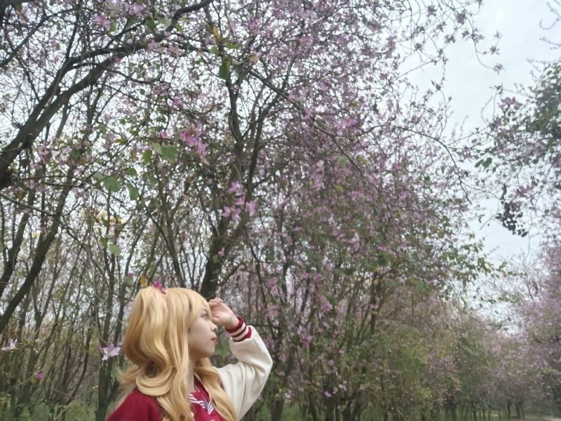 暮秋的第五张照片--鞍山相亲服务中心