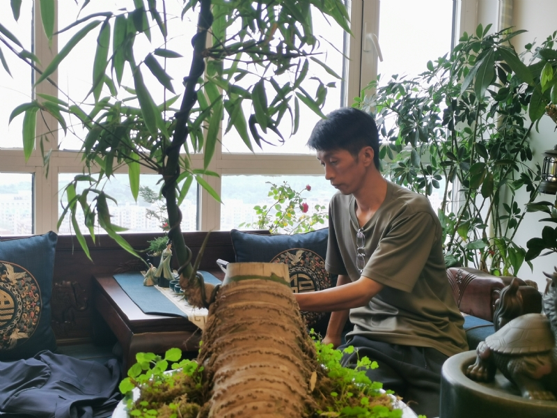 成个家的第一张照片--鞍山相亲服务中心