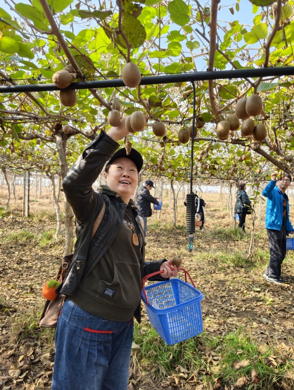 夜莺的第三张照片--鞍山相亲服务中心
